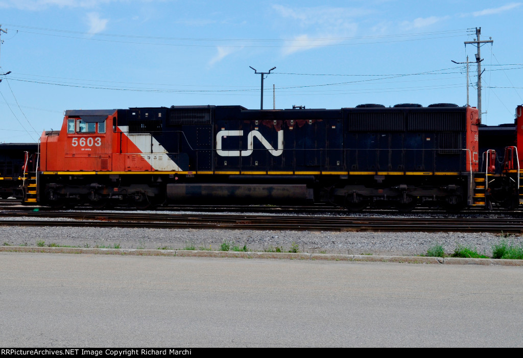 CN 5603